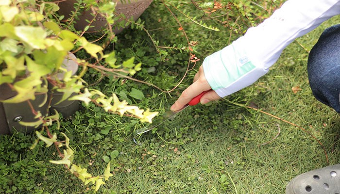 夏の庭仕事 雑草や虫などのお悩み解消 あると嬉しいアイテム16選 Lovegreen ラブグリーン