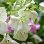 8591e08805beb397abcd2d3f216205