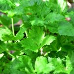 30061a45c81d87dce13d1152c66499