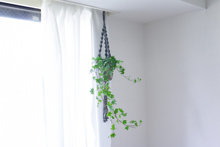 アイビーは葉の形も模様も種類が豊富なので、リビングの雰囲気に合わせて選べる楽しみがあります。 下に垂れ下がるように生長していく特性を活かして窓辺に吊るして飾るとお部屋のアクセントにもなり、おすすめ。