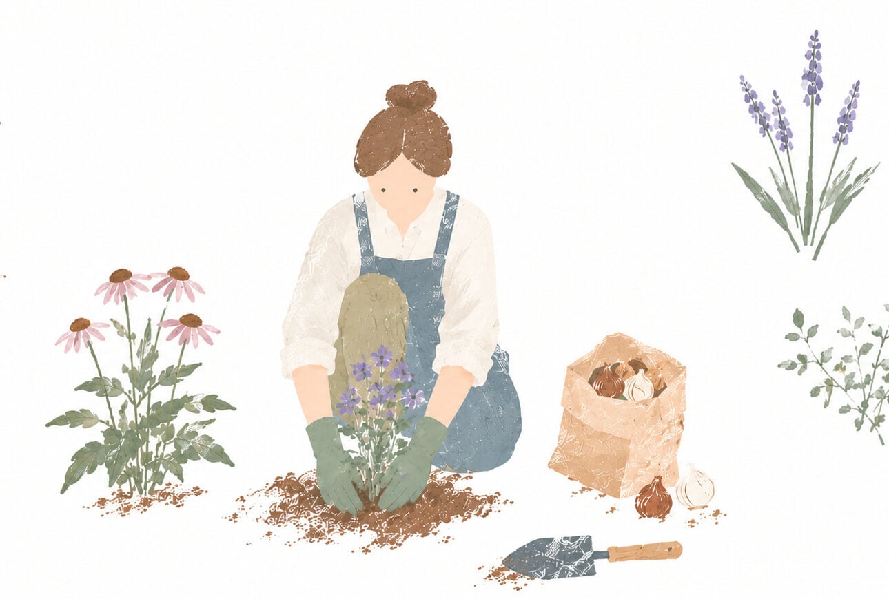 秋は宿根草と球根を植えましょう｜畑や かとうふぁーむの自然に育つ庭づくり【10月】