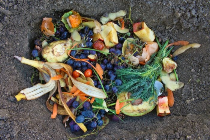 コンポスト　canva