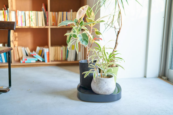 冬もおしゃれに観葉植物を楽しもう 編集部おすすめのタイプ別鉢カバーを紹介 Lovegreen ラブグリーン 冬もおしゃれに観葉植物を楽しもう 編集部おすすめのタイプ別鉢カバーを紹介 Lovegreen ラブグリーン