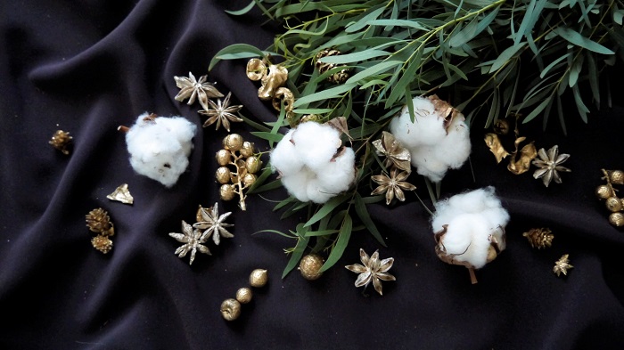 綿花 コットンフラワー とは 綿花の育て方や特徴 使い方 ドライフラワーの作り方まで Lovegreen ラブグリーン