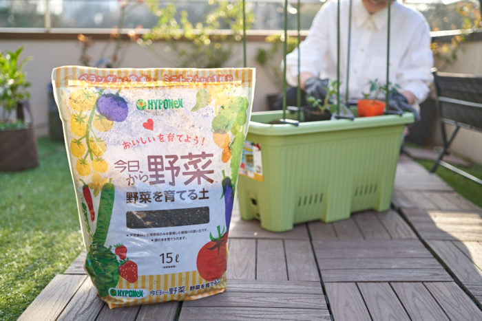 Gwに始めるプランター菜園の野菜苗は サントリー本気野菜 で決まり 初心者におすすめの苗をご紹介 Lovegreen ラブグリーン