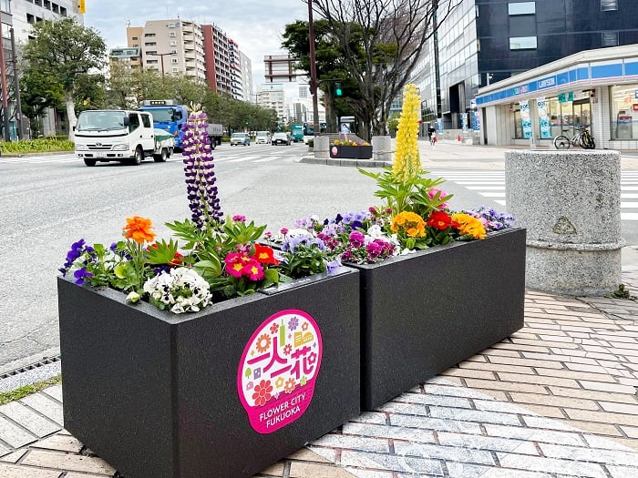 2年後には1,000基のフラワーポットに植えられた花が、福岡の街を彩る……、想像しただけでわくわくしますね♪