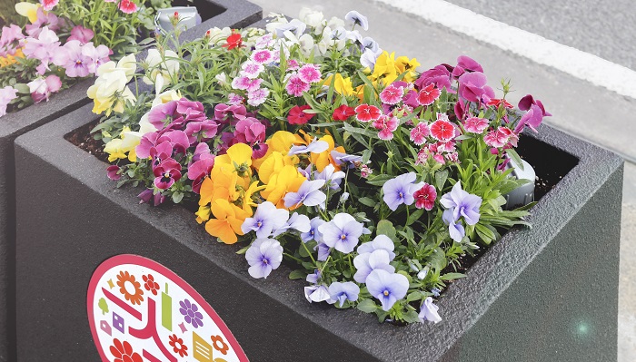 街を彩るフラワーポットも進化 福岡の街で見つけた花のある風景 Lovegreen ラブグリーン