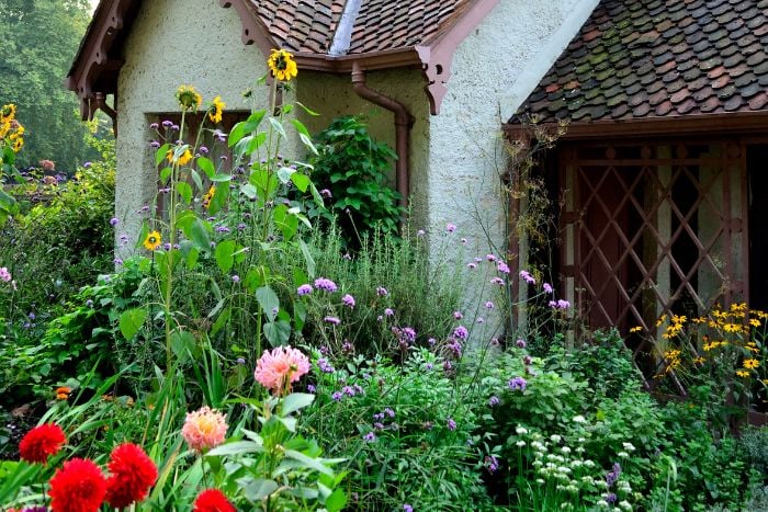 canvaイングリッシュガーデン