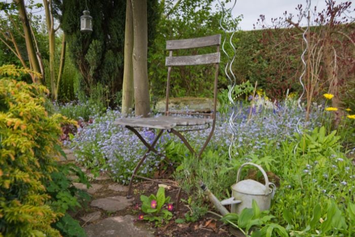 canvaイングリッシュガーデン