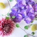 花のある暮らしをしませんか。買ってきた切り花をただ花瓶に生けるのではなく、ちょっと一手間かけてみましょう。お花がシャキッととして長持く楽しめるようになります。切り花を長持ちさせるコツとテクニック、種類、水揚げ方法、生け方などの紹介です。