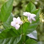 5f095bd835ad7ed061bbd8b765a39d