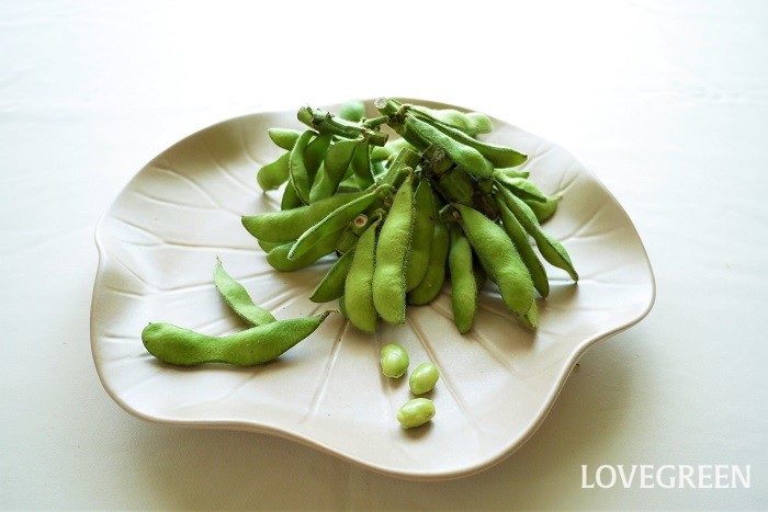 枝豆は早い段階で収穫した大豆のことです。旬の枝豆は甘みが強く、ハッとするほど香りの高い野菜です。