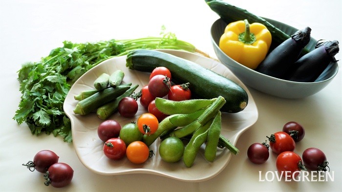 夏野菜とは 種類や特徴 珍しい夏野菜 栽培方法 食べ方 レシピも紹介 Lovegreen ラブグリーン