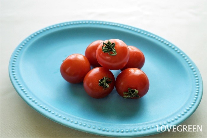 ミニトマトは、トマトをぎゅっと小さくしたような野菜です。夏のミニトマトは甘みが濃く、生でも加熱してもおいしく食べられます。