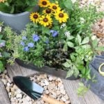 庭をきれいにしたいけど、「いつも雑草だらけになってしまう。」「植物を植えたいけど、手入れができるか心配。」「夏は暑いし冬は寒くて植物を育てるのは難しい。」と思っていませんか？そんな方に、手入れが簡単でおしゃれな庭づくりのちょっとした工夫を紹介します！