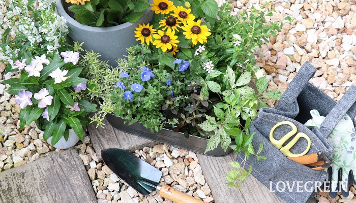 庭をきれいにしたいけど、「いつも雑草だらけになってしまう。」「植物を植えたいけど、手入れができるか心配。」「夏は暑いし冬は寒くて植物を育てるのは難しい。」と思っていませんか？そんな方に、手入れが簡単でおしゃれな庭づくりのちょっとした工夫を紹介します！