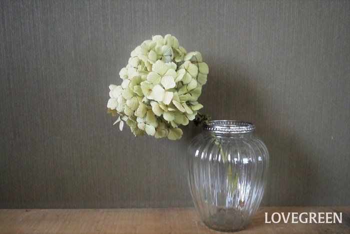 ドライフラワーは生花のように花瓶に入れて飾っても楽しめます。花瓶に飾る際は時々出してお手入れをしましょう。季節や環境によってはカビが生えてしまうこともあります。