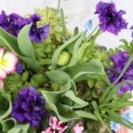 球根を使った寄せ植え｜おすすめの花、植える時期、作り方と管理のコツ