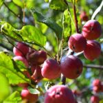 273a6c306f6468ddf743dd784a7d37