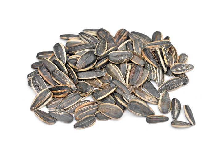 Canva画像 ひまわりの種