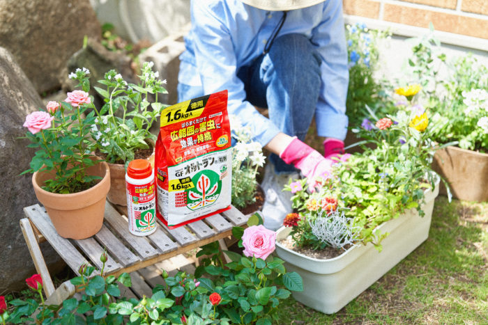 花や野菜　害虫対策　家庭園芸用ＧＦオルトラン粒剤