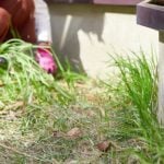 【目的・ライフスタイル別に選ぶ】あなたにおすすめの除草剤はこれ！