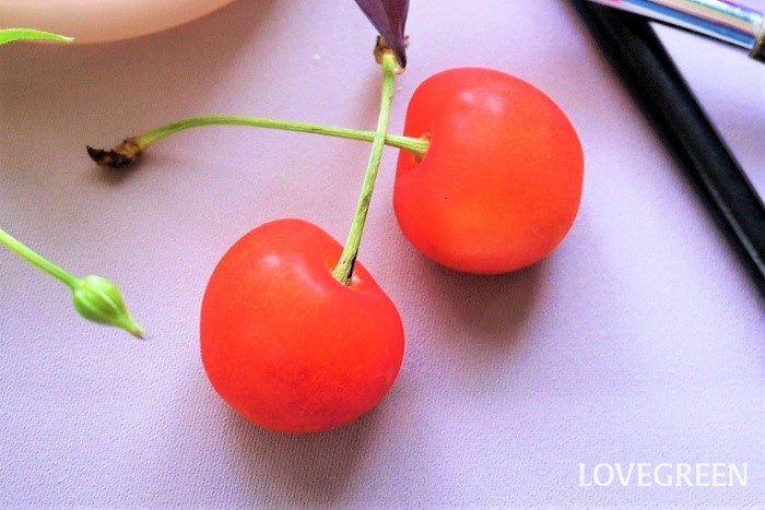 5月が旬の果物（フルーツ）4種さくらんぼ