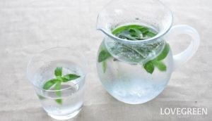 簡単でおいしい! フレッシュハーブで作る水出しハーブウォーターの作り方