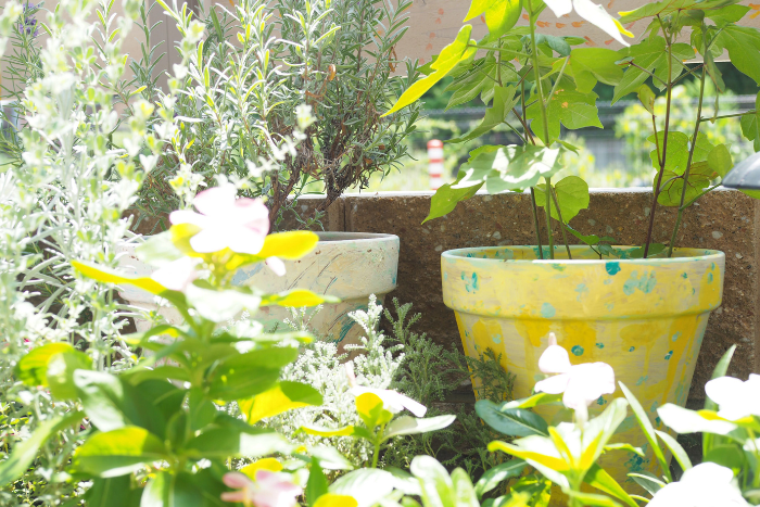 植木鉢　鉢　ペイント、DIY