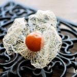 ほおずき（鬼灯）とは？魔除けの縁起物？種類、食べ方、遊び方、花言葉、季節