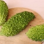 ゴーヤ　簡単レシピ　栄養　下ごしらえ　下処理　苦味取り　使い方　茹でる　下茹で　塩もみ