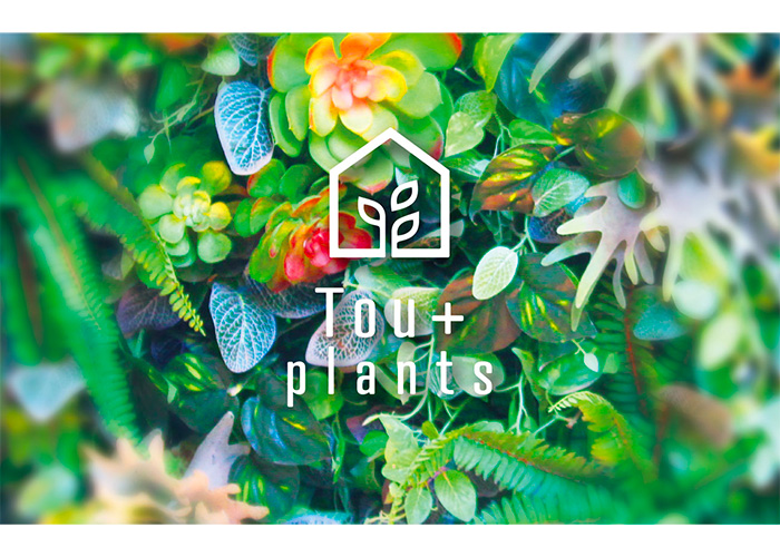 Tou+ plants(トウタスプランツ)2