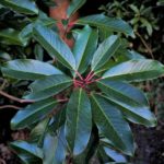 ba74a9a1989ed4df7abc87aba72035