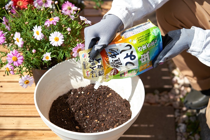 いろいろな植物の虫予防と駆除  おすすめの虫対策 おすすめ殺虫剤