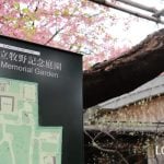 牧野記念庭園 牧野富太郎 植物学者 NHK 連続テレビ小説モデル らんまん 練馬区 大泉学園
