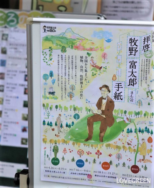 牧野記念庭園　牧野富太郎　植物学者　NHK　連続テレビ小説モデル　らんまん　練馬区　大泉学園