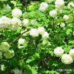 fe59d7b360b29dcc953271b8e2bd89