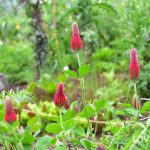 38924da6021d4c93cca9189d41e1fe