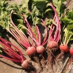 ビーツ 美味しい食べ方