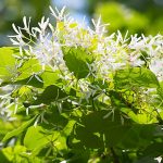 a3657101f8306b8d7e6773ca6f3715