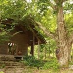 アファンの森 C.Wニコル 生物多様性