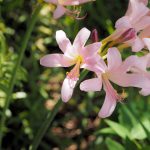 AdobeStock_371789412-scaled-