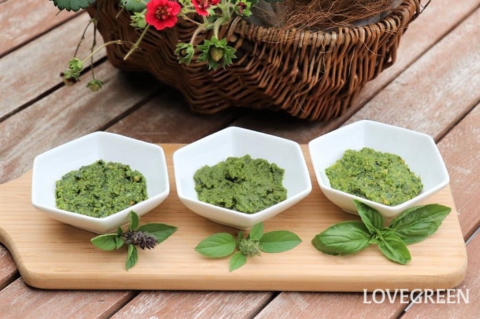 バジル バジルソース ジェノベーゼソース バジル バジルソース ジェノベーゼソース