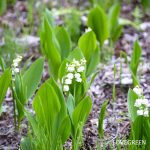 4066449651f33cdb0fad27983a010e