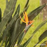 4459f12c1684921531dcf47c9762ee