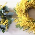 ミモザ　リース　スワッグ　切り花　庭木　育て方　剪定　コツ