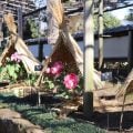 上野東照宮ぼたん苑