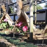 上野東照宮ぼたん苑