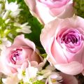 合格の花