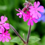 3b9a9b8ac73f07662a23fffd6470e9